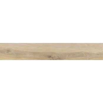 25X150 TU.BOHARS CAMEL