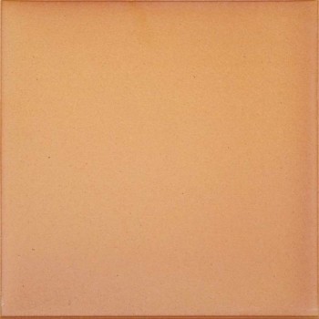 GRES ARAGON 25X25 CI