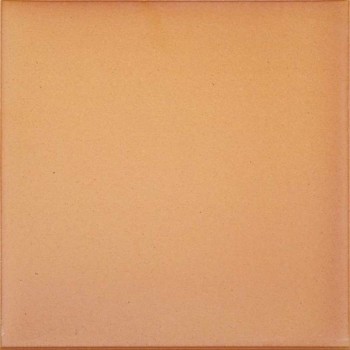 GRES ARAGON 25X25 CI